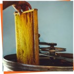 Manual Honey Extractors